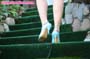 feet-leg_a19_0070