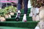 feet-leg_a19_0130