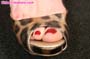 feet-leg_a19_0197