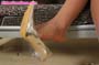 feet-leg_a20_0027