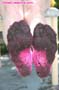 feet-leg_a20_0679