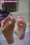 giant_a19_0169