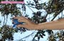 giant_a19_0533