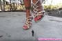 giant_a19_0876