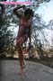giant_a19_0884