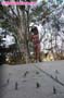 giant_a19_0898
