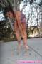 giant_a19_0912