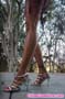 giant_a19_0934