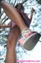giant_a19_0949
