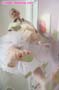 giantess_a21_0238