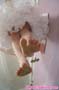 giantess_a21_0252