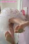 giantess_a21_0253