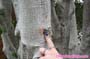 giantess_a21_0348