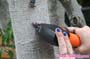 giantess_a21_0355