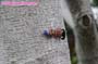 giantess_a21_0356