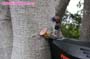 giantess_a21_0360