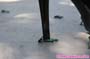 giantess_a21_0816
