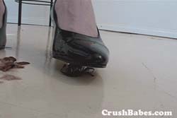 CR0062