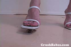 CR0071
