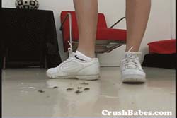CR0096