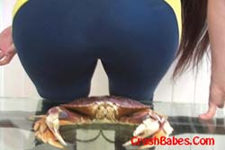 CR0232