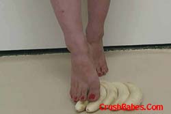 CR0262