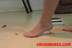 CR0394