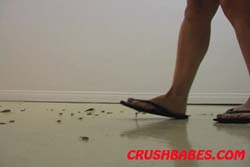 CR0416